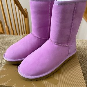 New Woman’s Classic UGG Short Orchid